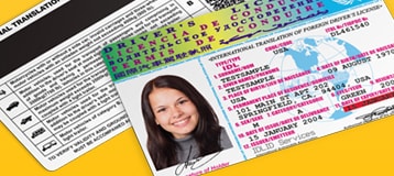 Sample International drivers license 22