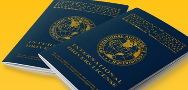 Sample International drivers license 23