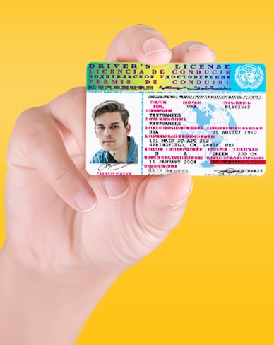 Sample International drivers license 4