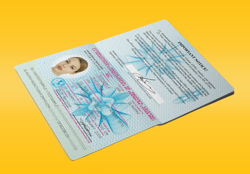 Sample International drivers license 3