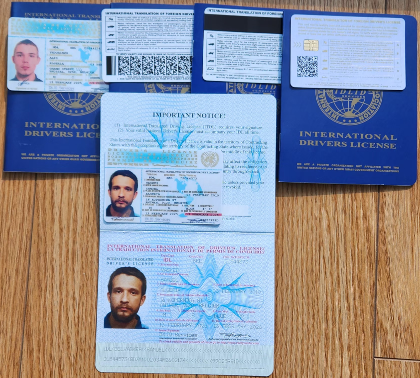 Sample International drivers license 5